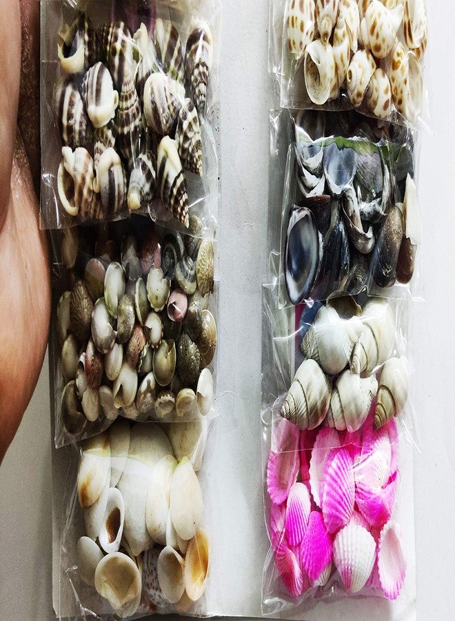 ARTBOX 10 Packets DIY Art and Craft Hobby Koudi Decoration Items for Kids and Adults School, Home, Birthday Gifts and Return Gift Ideas ( 10 Assorted Packets ) Koudi Shells Beeds, Multicolor - Image 3